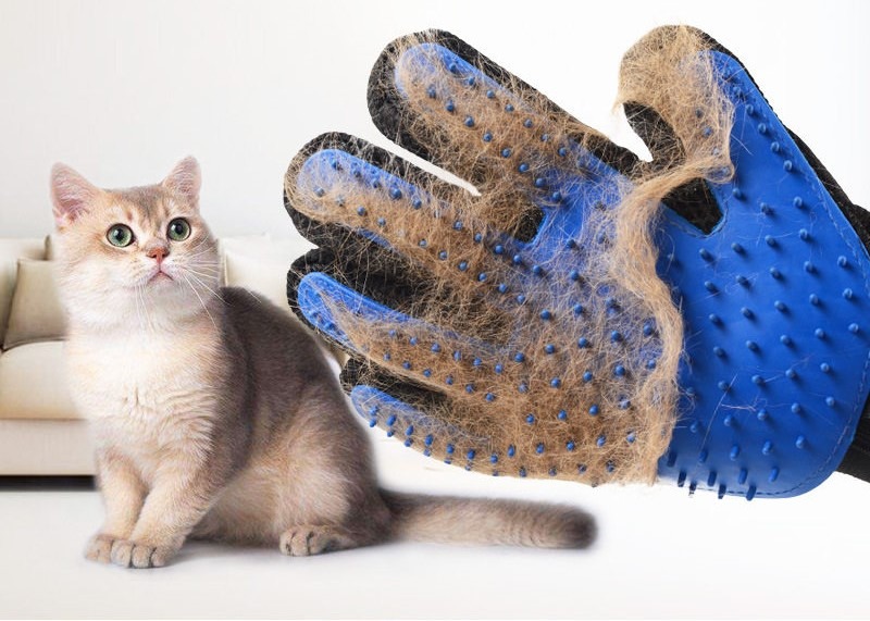 Hair removed from glove in one clean sheet