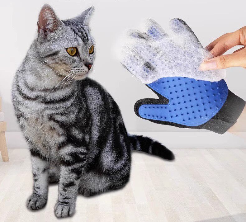 Pet your dog with the glove
