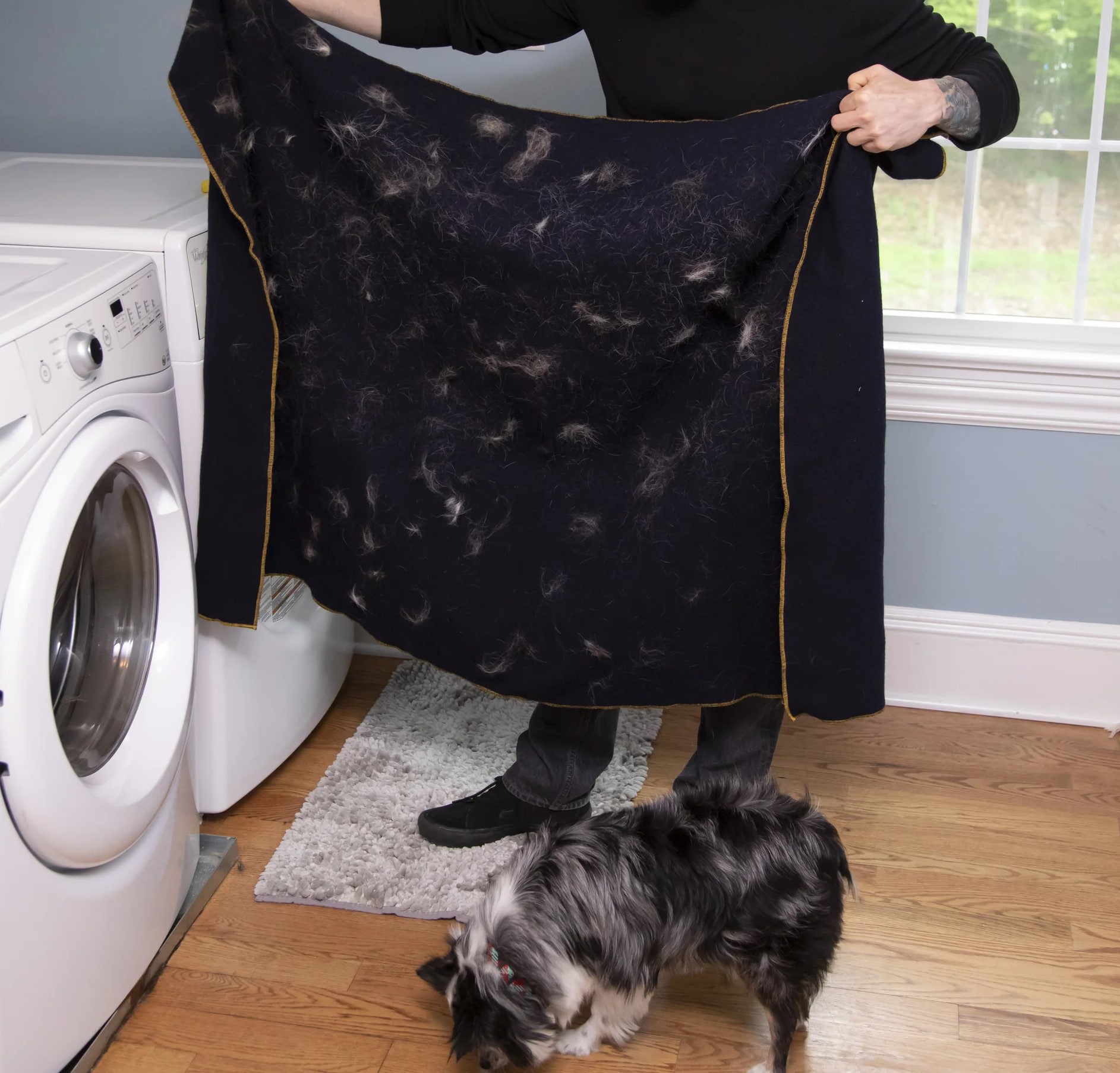 Pet hair on furniture and clothes